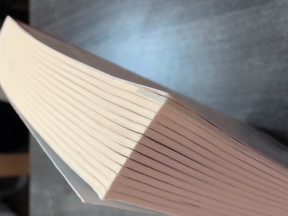 China Dolls by Lisa See Paperback - Picture 4 of 4